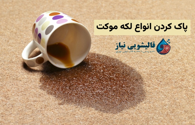 پاک کردن انواع لکه‌ موکت